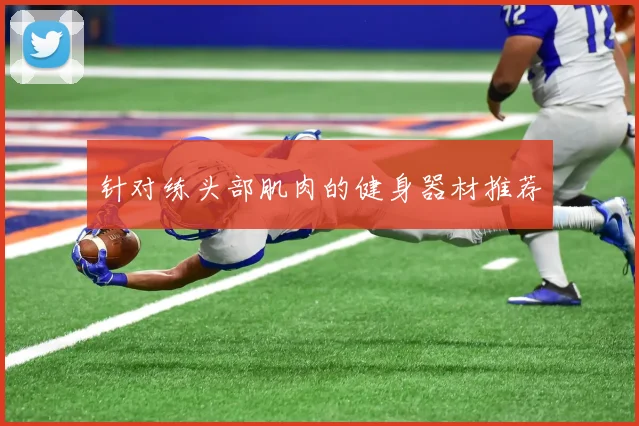 针对练头部肌肉的健身器材推荐